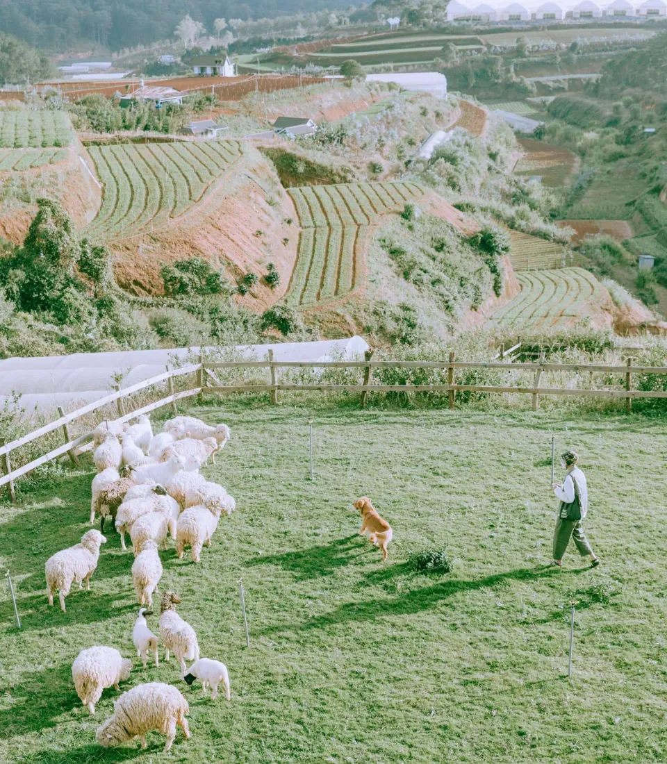 Nông trại Đà Lạt đẹp