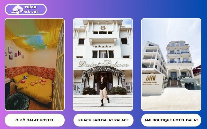 du lịch đà lạt tự túc 2 ngày 1 đêm