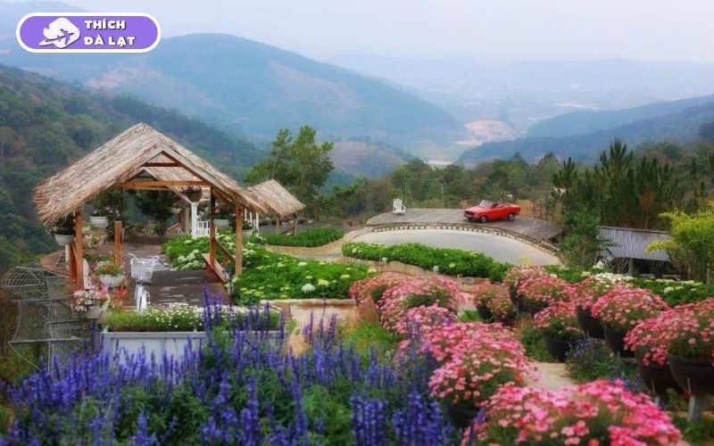 giới thiệu về thích đà lạt