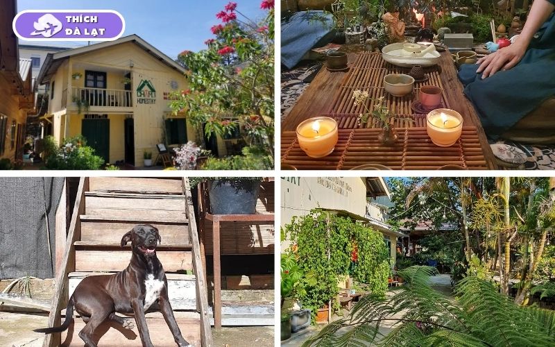 homestay đà lạt