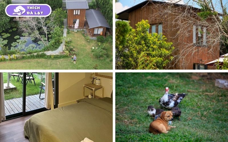 homestay đà lạt