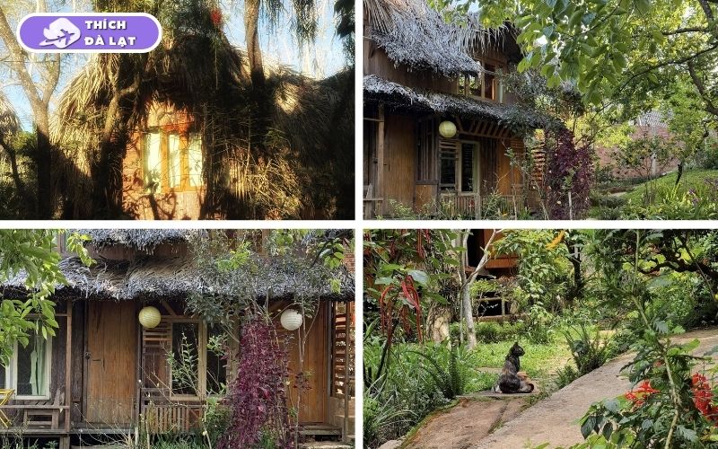 homestay đà lạt