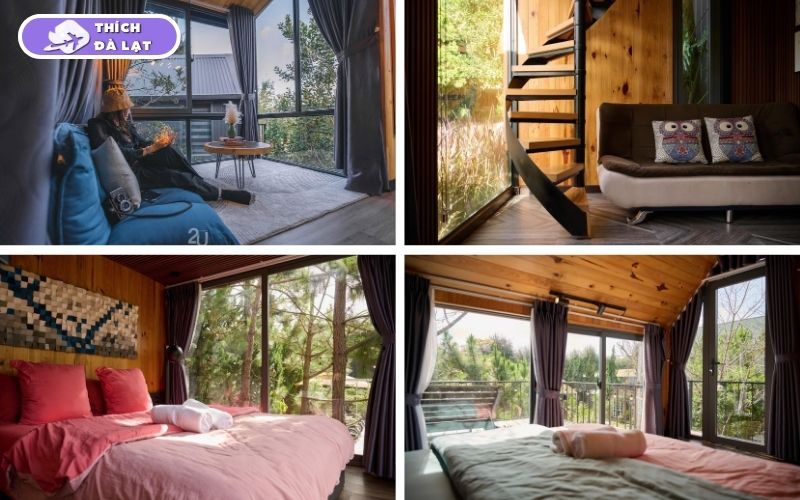 in the pines homestay đà lạt