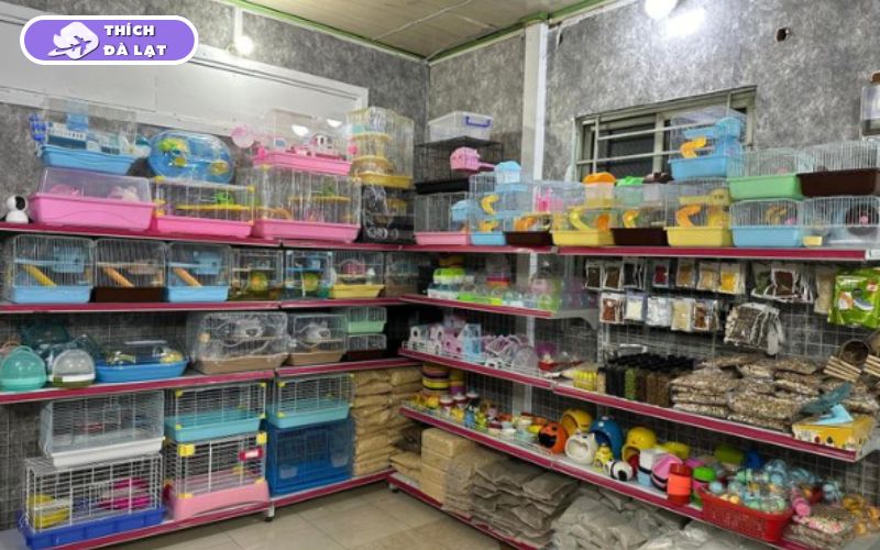 shop thú cưng đà lạt