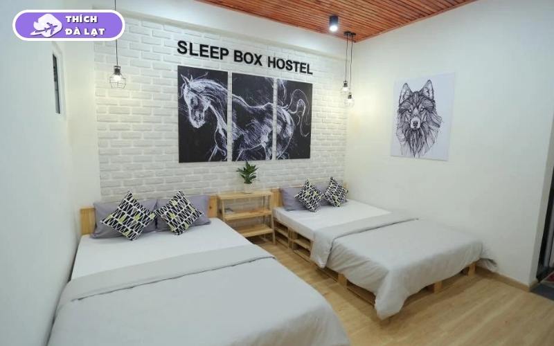 sleep box đà lạt