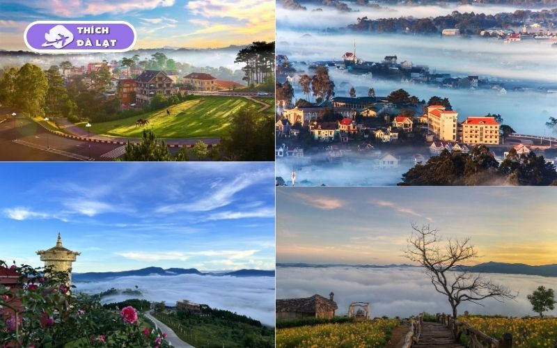 tour đà lạt 3 ngày 3 đêm