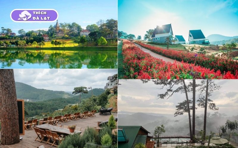tour đà lạt 3 ngày 3 đêm