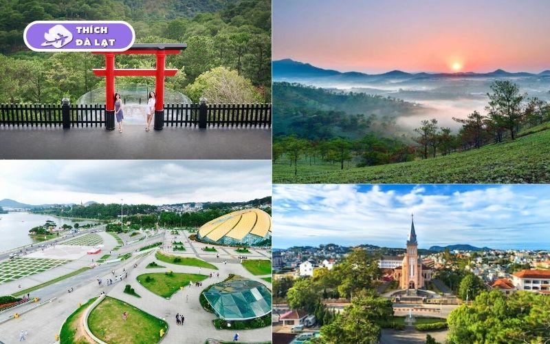tour đà lạt 3 ngày 3 đêm