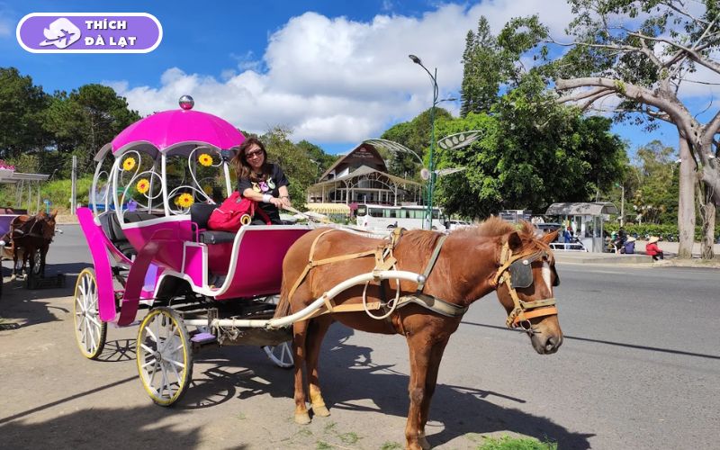 vườn hoa thành phố đà lạt