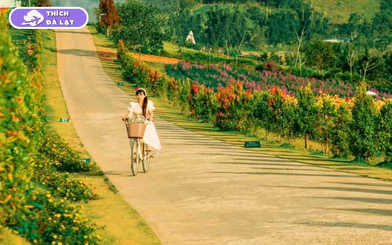the florest hoa trong rừng