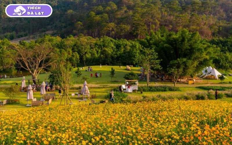 the florest hoa trong rừng
