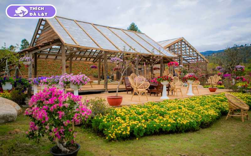 the florest hoa trong rừng