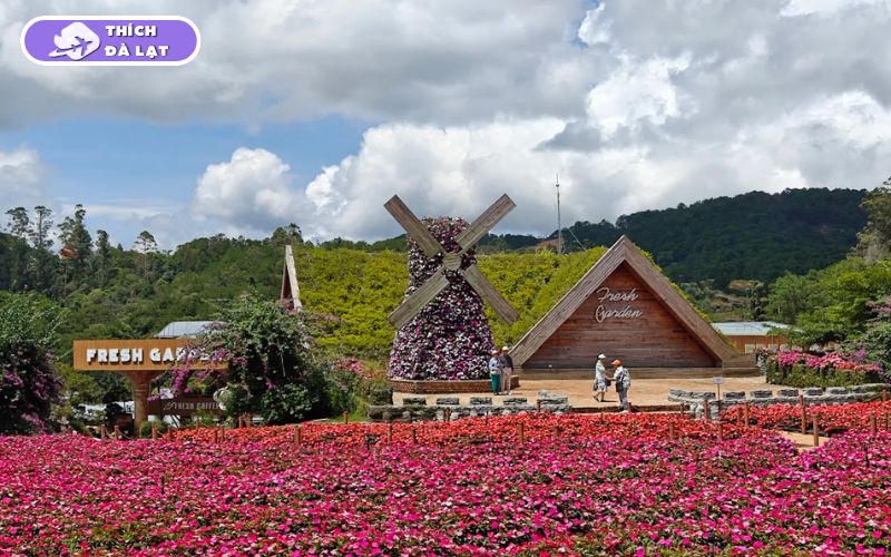 vườn hoa đà lạt