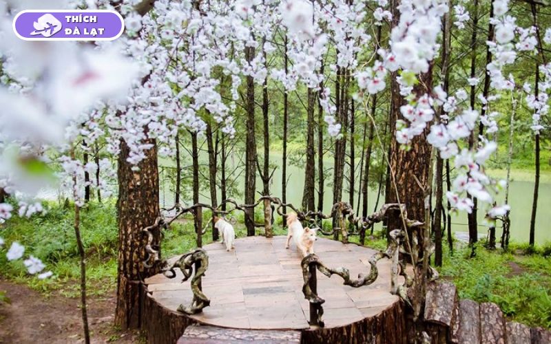vườn hoa đà lạt