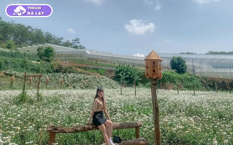 vườn hoa đà lạt