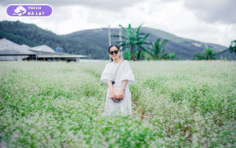 vườn hoa đà lạt