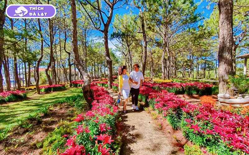 vườn hoa khô đà lạt