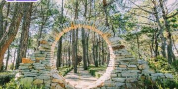 vườn hoa khô đà lạt