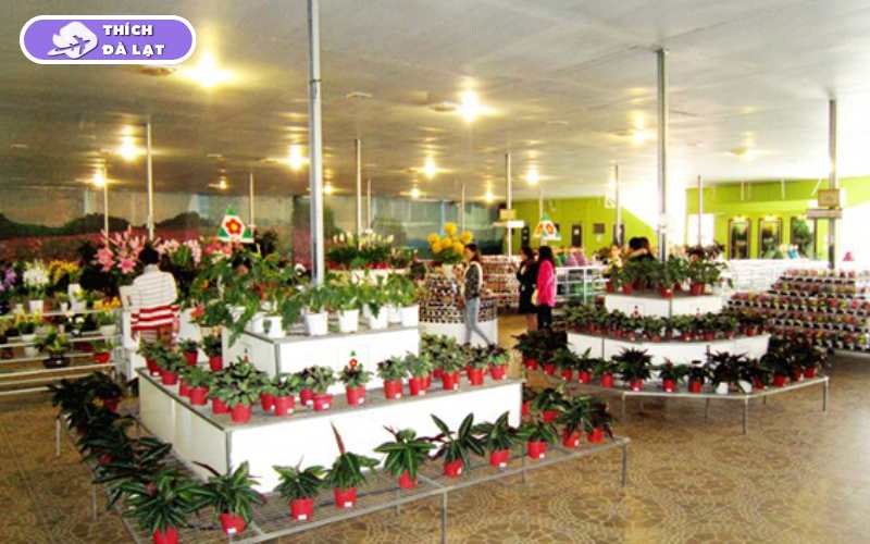 vườn hoa khô đà lạt