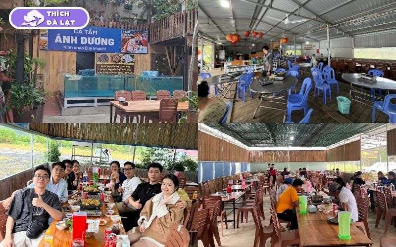 Review mới nhất về quán Cá Tầm Ánh Dương Đà Lạt hải sản tươi 7 cá tầm ánh dương