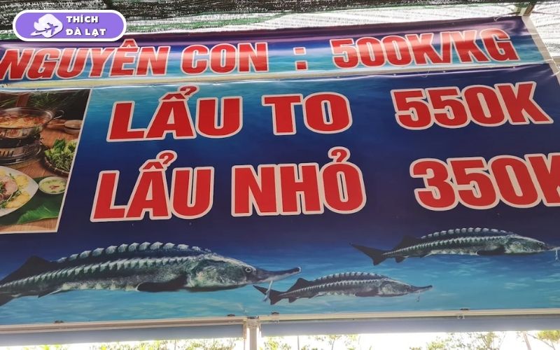 Review mới nhất về quán Cá Tầm Ánh Dương Đà Lạt hải sản tươi 8 cá tầm ánh dương