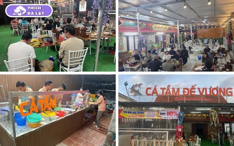 Review chi tiết về quán lẩu cá tầm Đế Vương lâm Đồng đông khách 8 lẩu cá tầm đế vương lâm đồng